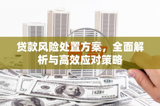 凤城贷款风险处置方案，全面解析与高效应对策略