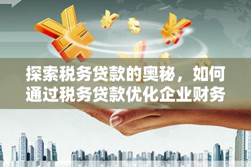 凤城探索税务贷款的奥秘，如何通过税务贷款优化企业财务