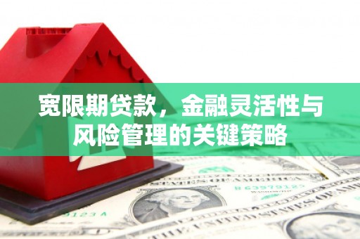 凤城宽限期贷款，金融灵活性与风险管理的关键策略