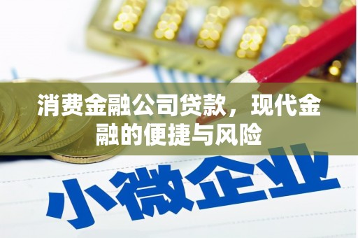 凤城消费金融公司贷款，现代金融的便捷与风险