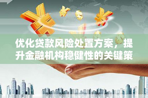凤城优化贷款风险处置方案，提升金融机构稳健性的关键策略