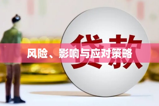凤城风险、影响与应对策略