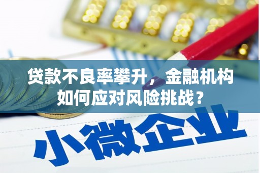 凤城贷款不良率攀升，金融机构如何应对风险挑战？