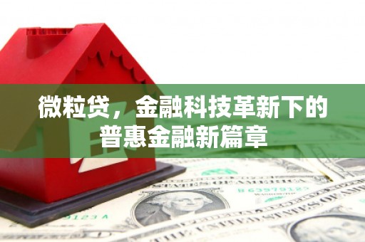 凤城微粒贷，金融科技革新下的普惠金融新篇章