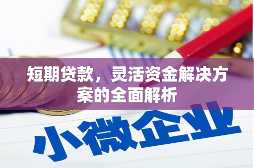凤城短期贷款，灵活资金解决方案的全面解析