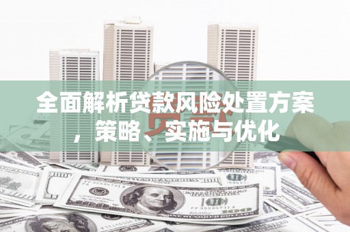 凤城全面解析贷款风险处置方案，策略、实施与优化