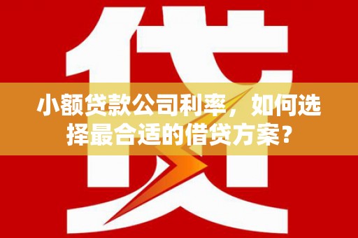 凤城小额贷款公司利率，如何选择最合适的借贷方案？