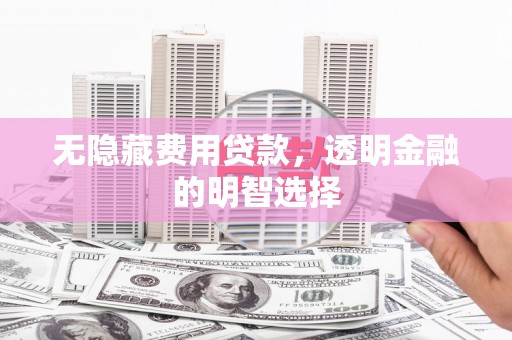 凤城无隐藏费用贷款，透明金融的明智选择