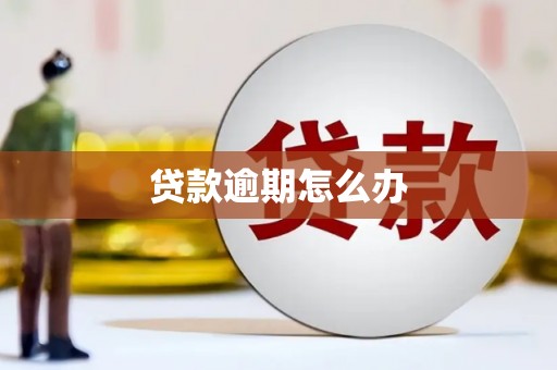 凤城贷款逾期怎么办