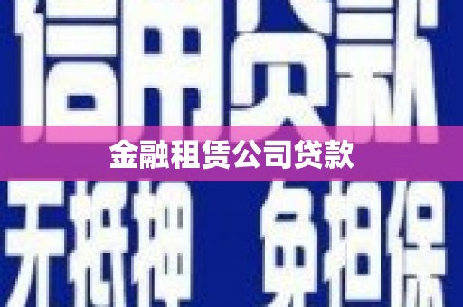 凤城金融租赁公司贷款