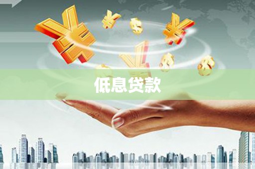 凤城低息贷款