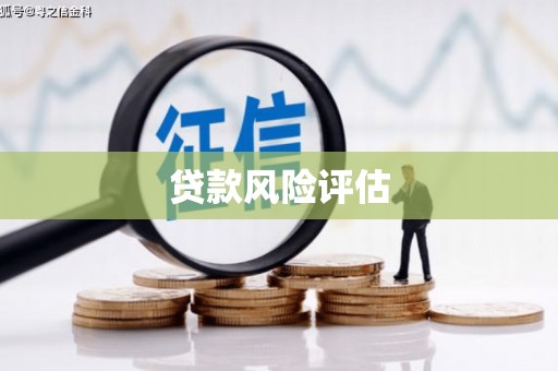凤城贷款风险评估