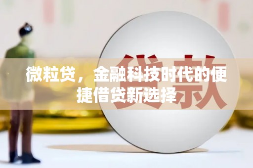 凤城微粒贷，金融科技时代的便捷借贷新选择