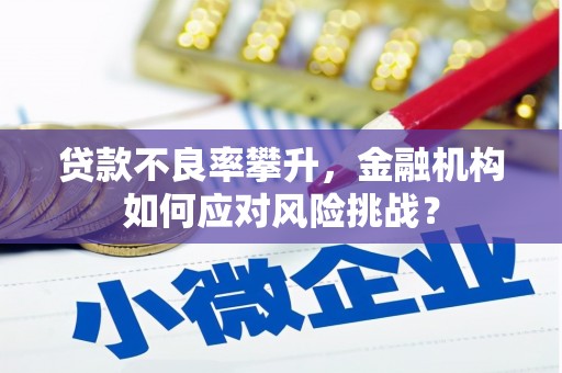 凤城贷款不良率攀升，金融机构如何应对风险挑战？