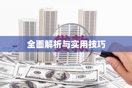 凤城全面解析与实用技巧
