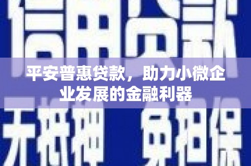 凤城平安普惠贷款，助力小微企业发展的金融利器