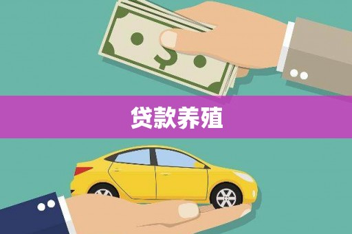 凤城贷款养殖
