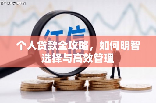 凤城个人贷款全攻略，如何明智选择与高效管理