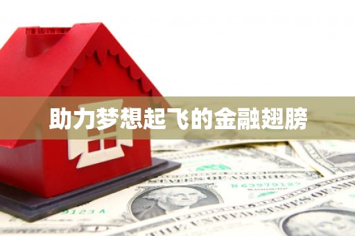 凤城助力梦想起飞的金融翅膀