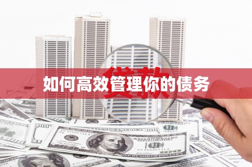 凤城如何高效管理你的债务