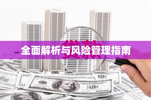 凤城全面解析与风险管理指南