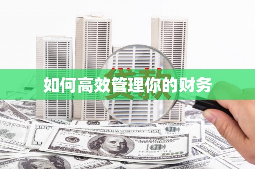 凤城如何高效管理你的财务