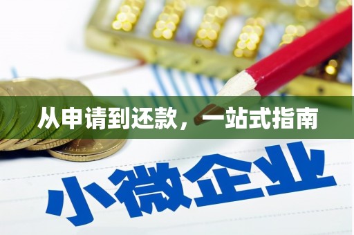 凤城从申请到还款，一站式指南