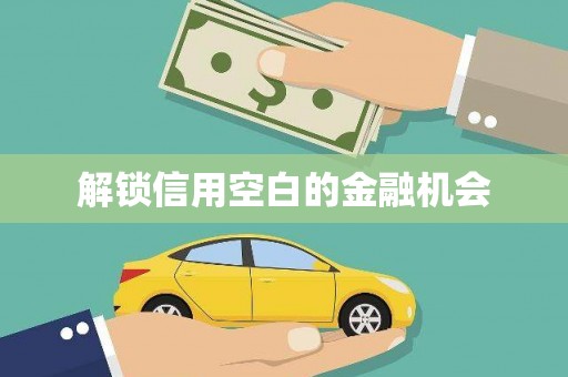 凤城解锁信用空白的金融机会