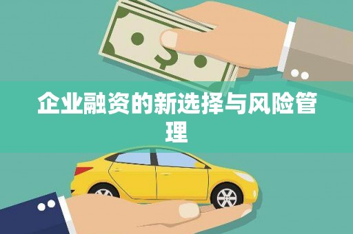 凤城企业融资的新选择与风险管理