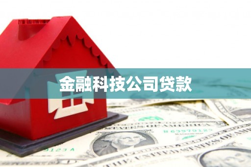 凤城金融科技公司贷款
