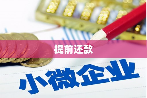 凤城提前还款