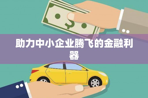 凤城助力中小企业腾飞的金融利器