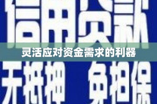 凤城灵活应对资金需求的利器