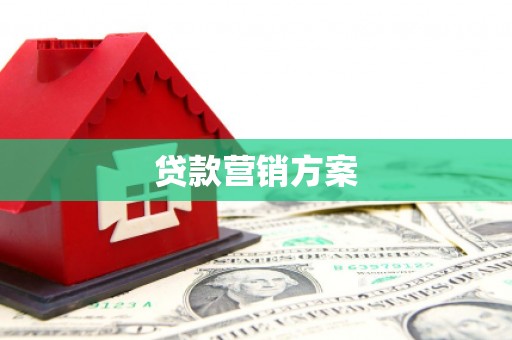 凤城贷款营销方案