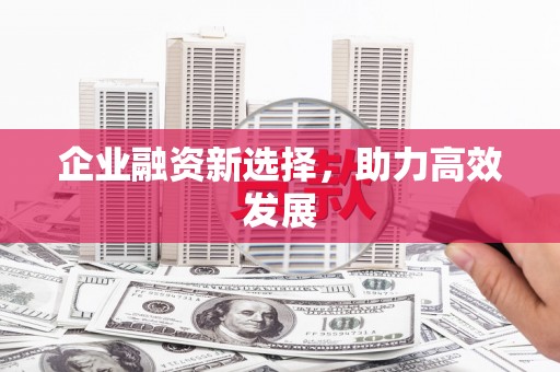凤城企业融资新选择，助力高效发展