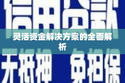 凤城灵活资金解决方案的全面解析