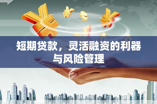 凤城短期贷款，灵活融资的利器与风险管理