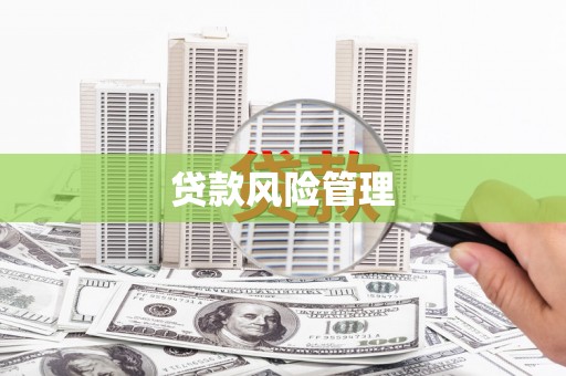 凤城贷款风险管理