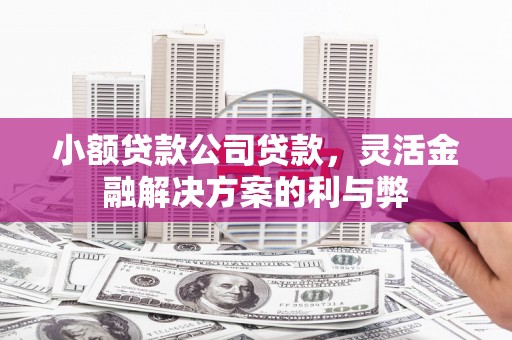 凤城小额贷款公司贷款，灵活金融解决方案的利与弊
