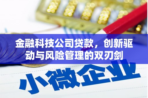 凤城金融科技公司贷款，创新驱动与风险管理的双刃剑