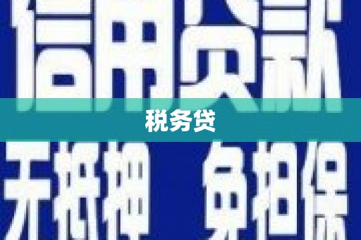 凤城税务贷